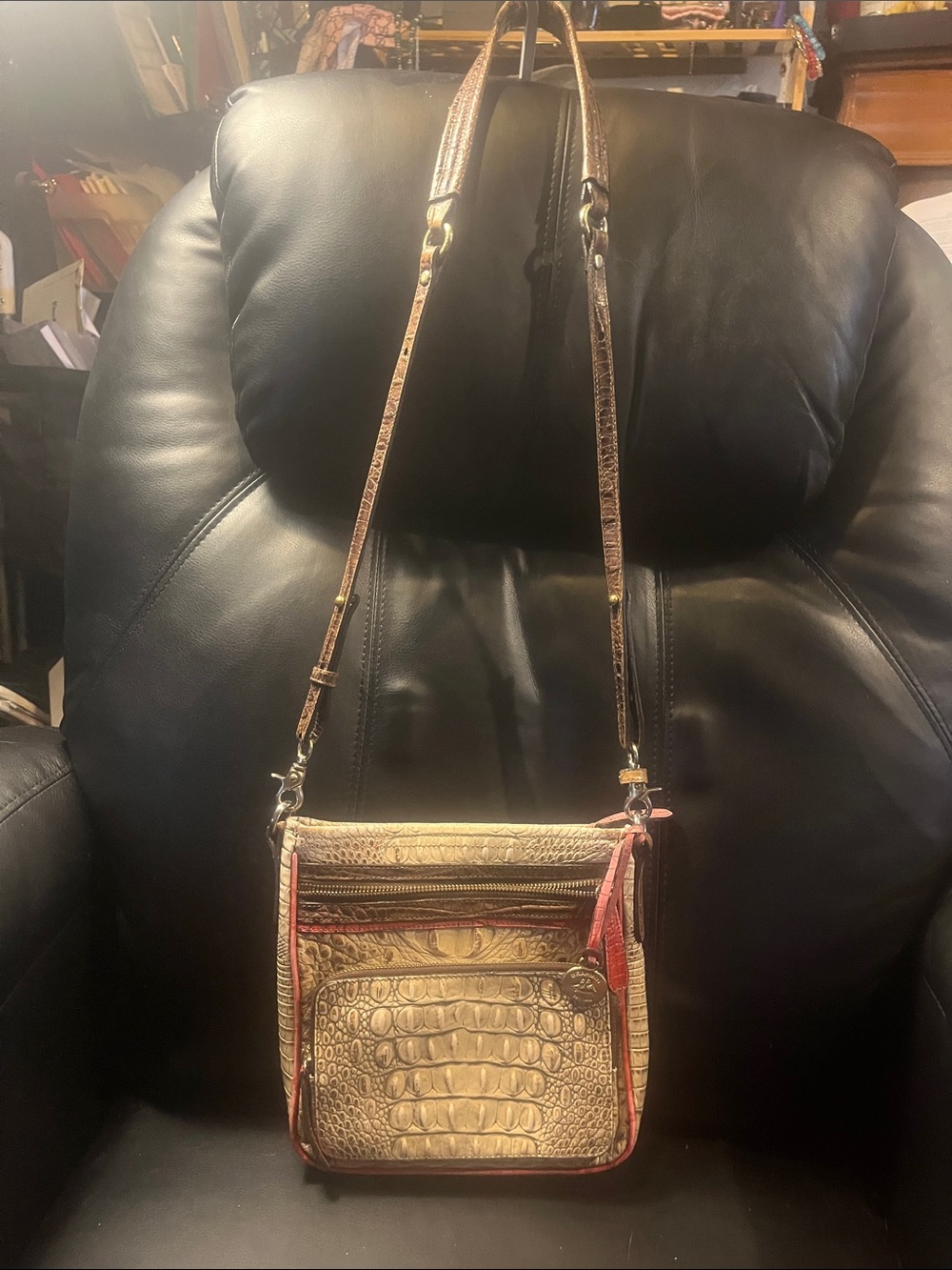 Brahmin Cleo Melbourne Crossbody with pink Trim